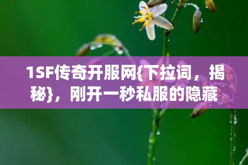 1SF传奇开服网{下拉词,揭秘},刚开一秒私服的隐藏机制 1SF传奇开服网{下拉词,揭秘},刚开一秒私服的隐藏机制
