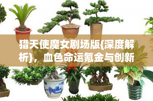 猎天使魔女剧场版{深度解析},血色命运氪金与创新揭秘 猎天使魔女剧场版{深度解析},血色命运氪金与创新揭秘