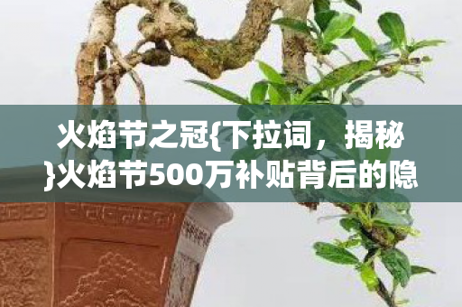 火焰节之冠{下拉词，揭秘}火焰节500万补贴背后的隐情！
