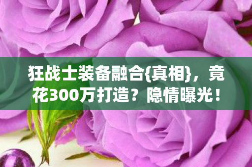 竟花300万打造图片