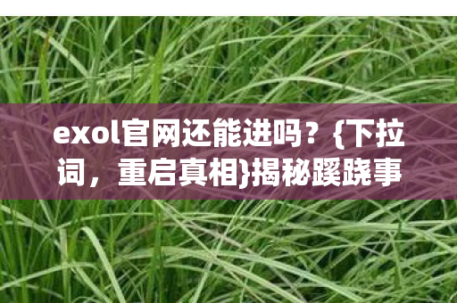 exol官网还能进吗图片