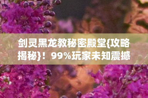剑灵黑龙教秘密殿堂图片