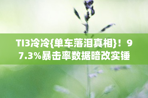 暴击率数据暗改实锤图片