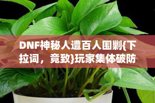 DNF神秘人遭百人围剿图片