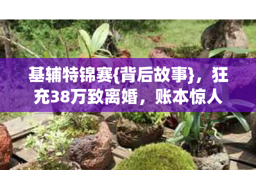 狂充38万致离婚图片