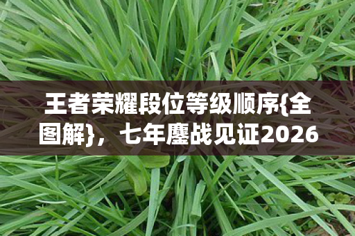 七年鏖战见证2026电竞路图片