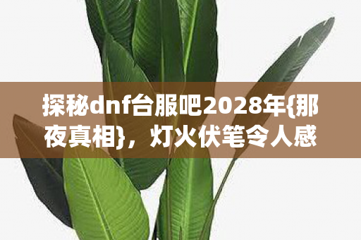 探秘dnf台服吧2028年图片