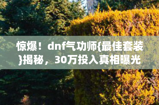 30万投入真相曝光图片