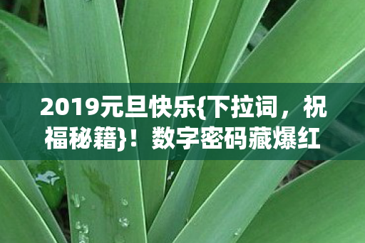 数字密码藏爆红诀窍图片