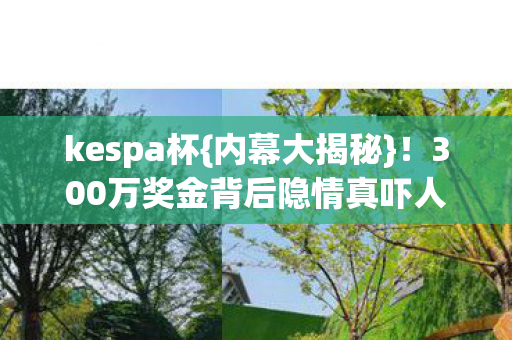 300万奖金背后隐情真吓人图片