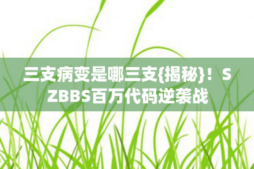 三支病变是哪三支{揭秘}！SZBBS百万代码逆袭战