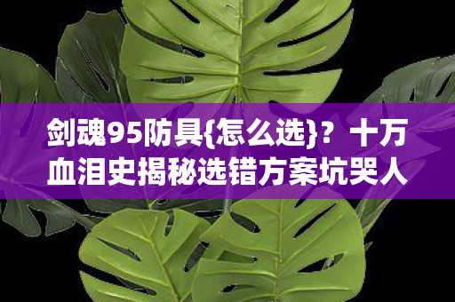 剑魂95防具{怎么选}？十万血泪史揭秘选错方案坑哭人