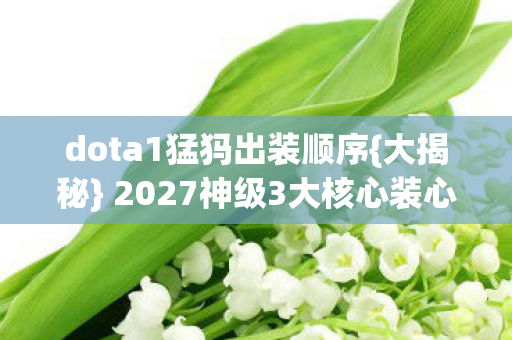 2027神级3大核心装心得图片