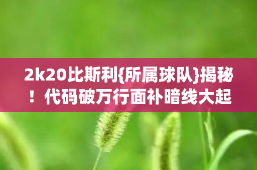 代码破万行面补暗线大起底图片