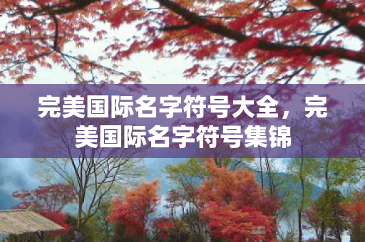 完美国际名字符号大全图片