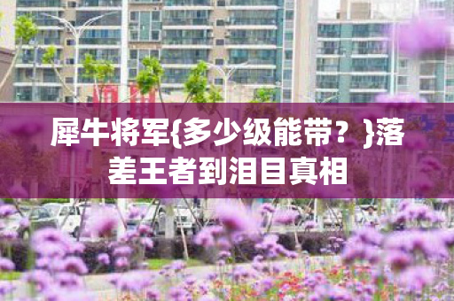 落差王者到泪目真相图片