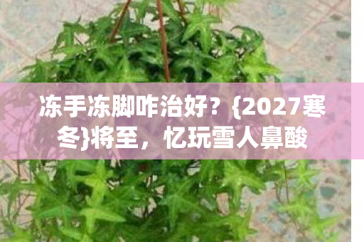 冻手冻脚咋治好图片