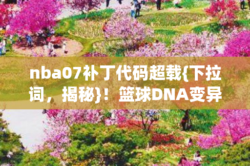 nba07补丁代码超载图片