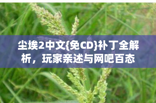 玩家亲述与网吧百态图片