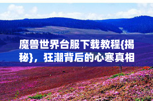魔兽世界台服下载教程图片