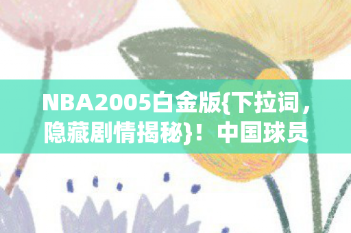 NBA2005白金版图片