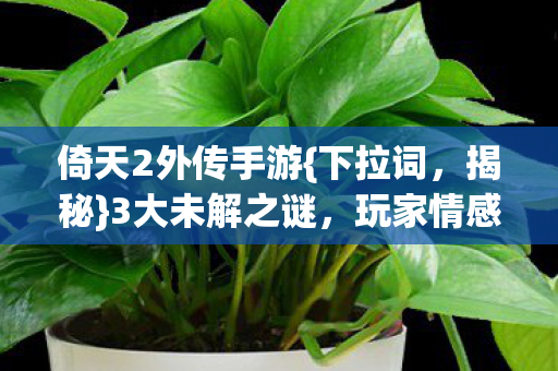 倚天2外传手游图片