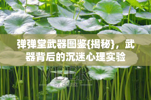 武器背后的沉迷心理实验图片
