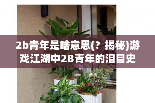 游戏江湖中2B青年的泪目史图片