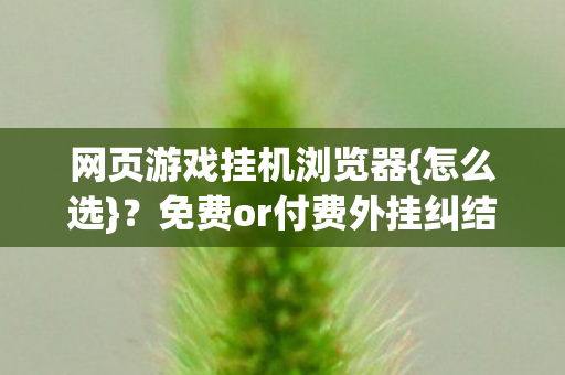 免费or付费外挂纠结解析图片