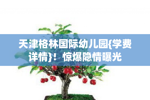 天津格林国际幼儿园图片