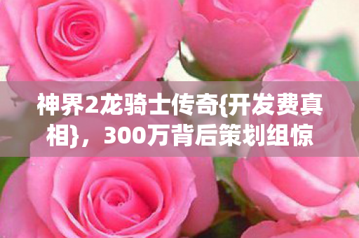 300万背后策划组惊了图片