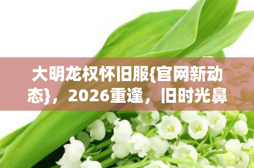 大明龙权怀旧服图片