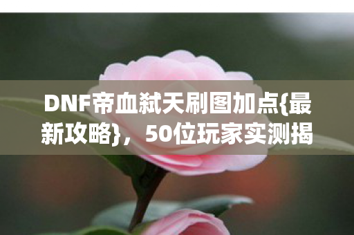 DNF帝血弑天刷图加点图片