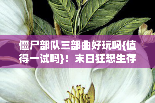 末日狂想生存挑战2027图片