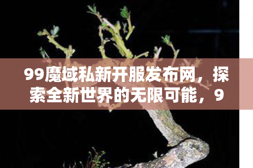 99魔域私新开服发布网图片
