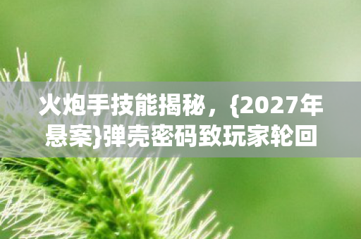弹壳密码致玩家轮回图片