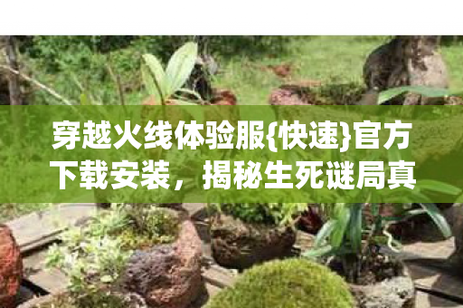 揭秘生死谜局真相图片