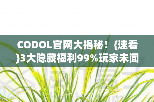 CODOL官网大揭秘图片
