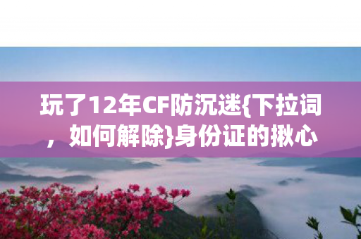 玩了12年CF防沉迷图片