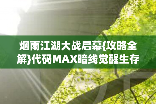 代码MAX暗线觉醒生存法则图片