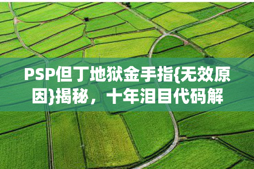 PSP但丁地狱金手指{无效原因}揭秘,十年泪目代码解析 PSP但丁地狱金手指{无效原因}揭秘,十年泪目代码解析