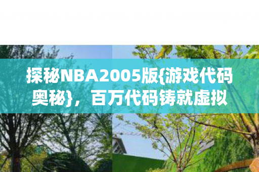 探秘NBA2005版{游戏代码奥秘}，百万代码铸就虚拟王朝