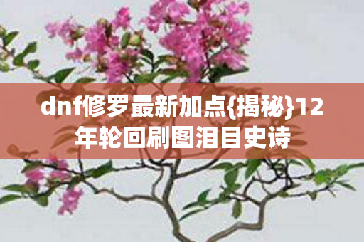 12年轮回刷图泪目史诗图片