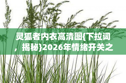 2026年情绪开关之谜图片