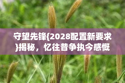 2028配置新要求图片