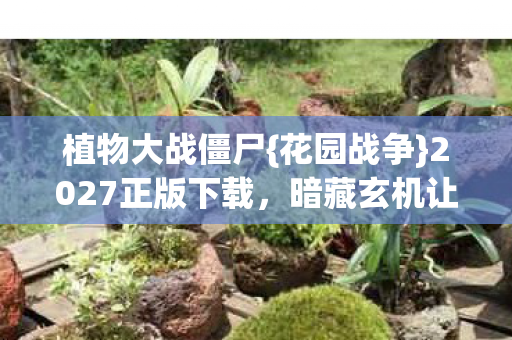 暗藏玄机让我沉默整夜图片