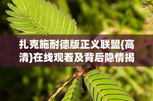 在线观看及背后隐情揭秘图片