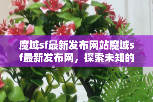 魔域sf最新发布网站魔域sf最新发布网图片