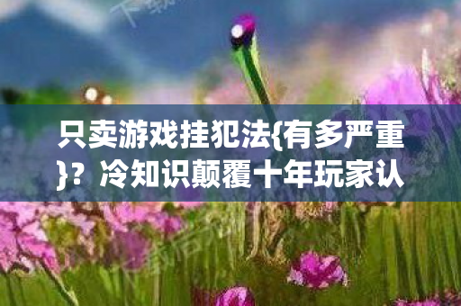 冷知识颠覆十年玩家认知图片