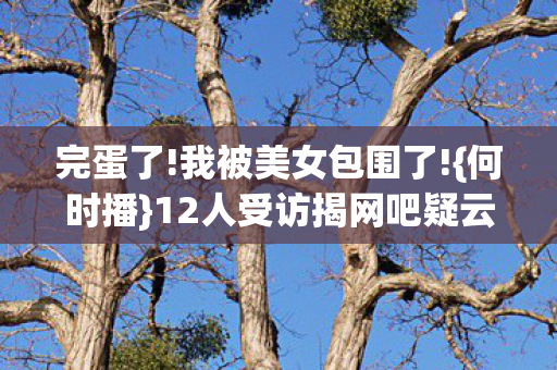 12人受访揭网吧疑云图片
